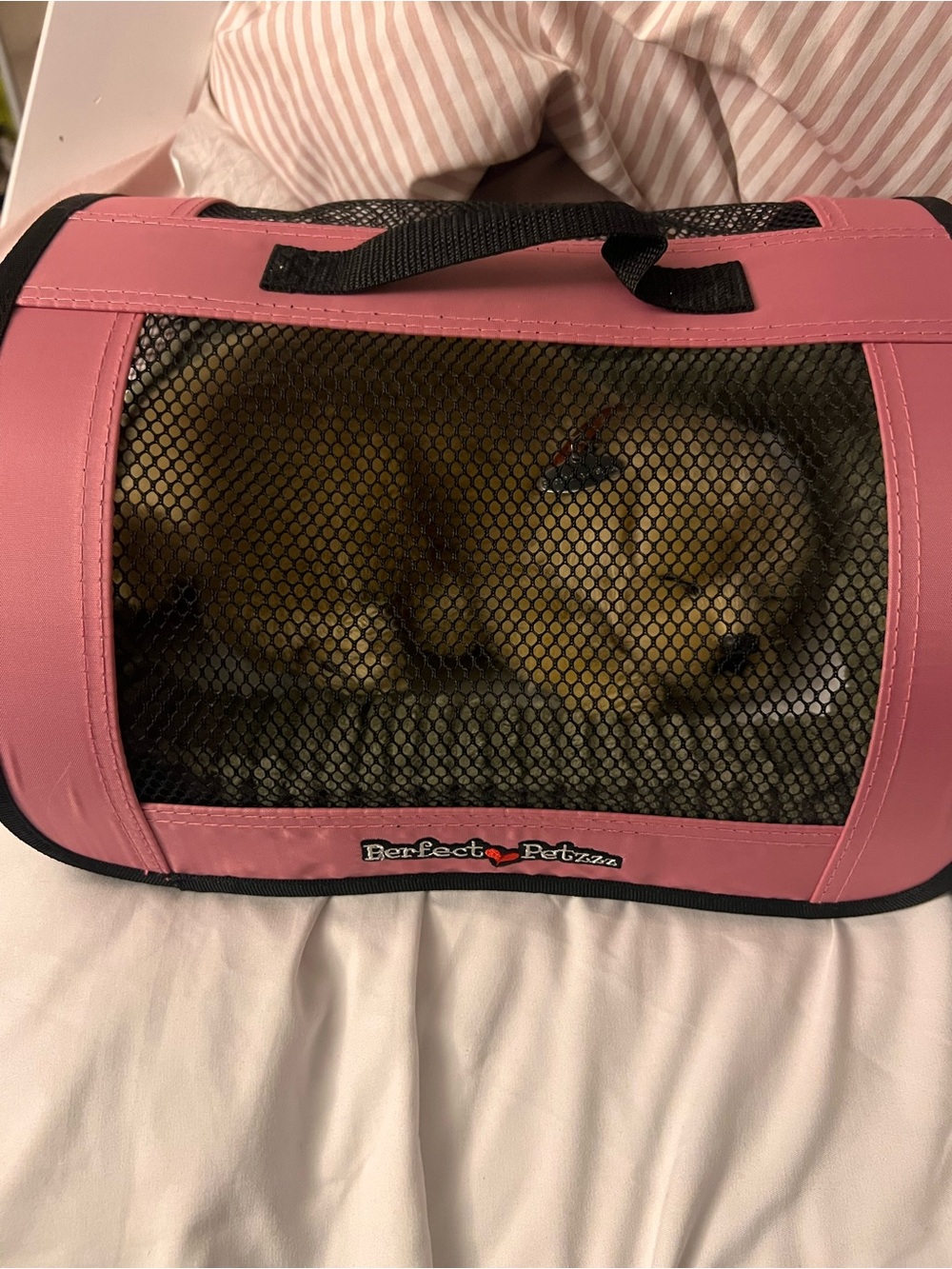 Perfect Petzzz Golden Retriever with bed in Pink Soft-Sided Pet Carrier